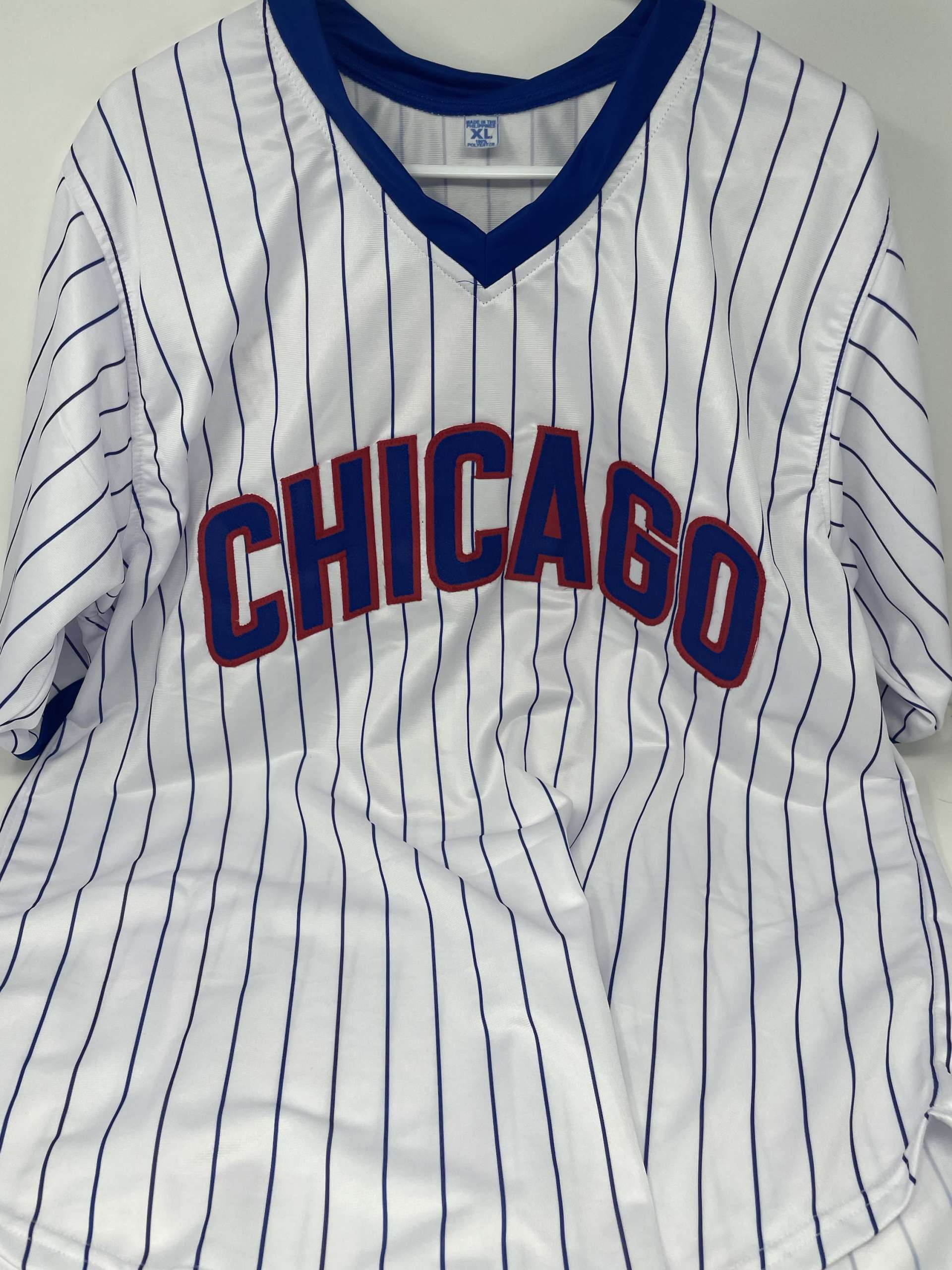 Premium VIP Meet & Greet Package – Andre Dawson - Image 4